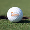 Northern Illinois Airstream Club Logo Golf Balls - Non-Branded - Set of 12