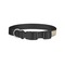 Coffee Lover Dog Collar - Small - Back