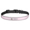 Baby Girl Photo Dog Collar