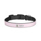 Baby Girl Photo Dog Collar - Small - Front