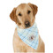 Baby Boy Photo Dog Bandana Scarf
