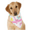 Llamas Dog Bandana Scarf w/ Name or Text
