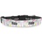 Llamas Deluxe Dog Collar (Personalized)
