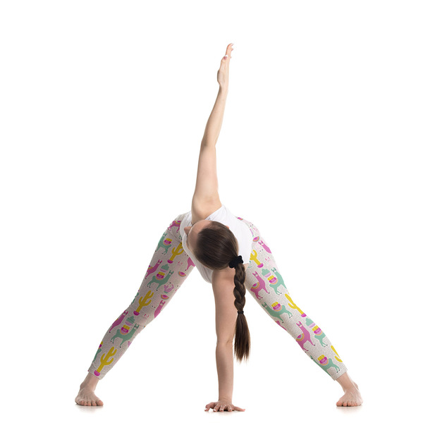 Llamas Ladies Leggings - LIFESTYLE