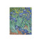 Irises (Van Gogh) 16x20 - Canvas Print - Front View