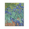 Irises (Van Gogh) 16x20 Wood Print - Front View