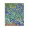 Irises (Van Gogh) 20x24 - Canvas Print - Front View