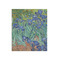 Irises (Van Gogh) 20x24 - Matte Poster - Front View