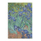 Irises (Van Gogh) 20x30 - Matte Poster - Front View