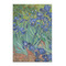 Irises (Van Gogh) Posters - Matte - 20x30
