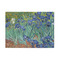 Irises (Van Gogh) 5'x7' Patio Rug - Front/Main