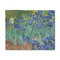 Irises (Van Gogh) 8'x10' Patio Rug - Front/Main