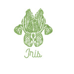 Irises (Van Gogh) Glitter Iron On Transfer- Custom Sized