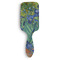 Irises (Van Gogh) Hair Brushes