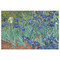 Irises (Van Gogh) Indoor / Outdoor Rug - 4'x6' - Front Flat