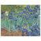 Irises (Van Gogh) Indoor / Outdoor Rug - 8'x10' - Front Flat
