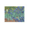 Irises (Van Gogh) Jigsaw Puzzle 252 Piece - Front