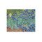 Irises (Van Gogh) 252 pc Jigsaw Puzzle
