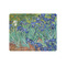 Irises (Van Gogh) Jigsaw Puzzle 30 Piece - Front