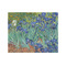 Irises (Van Gogh) Jigsaw Puzzle 500 Piece - Front