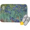 Irises (Van Gogh) Memory Foam Bath Mats