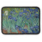 Irises (Van Gogh) Rectangle Patch