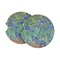 Irises (Van Gogh) Sandstone Car Coasters - PARENT MAIN (Set of 2)