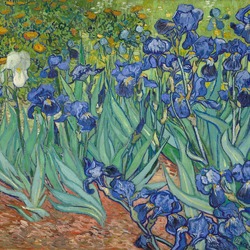 Irises (Van Gogh)