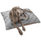 Hipster Graduate Dog Bed - Large LIFESTYLE