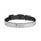 Hipster Graduate Dog Collar - Small - Front