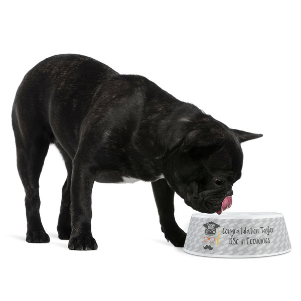 Hipster Graduate Plastic Pet Bowls - Medium - LIFESTYLE