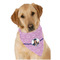 Graduation Dog Bandana Scarf w/ Photo