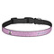 Graduation Dog Collar (Personalized)