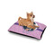 Graduation Outdoor Dog Beds - Small - IN CONTEXT