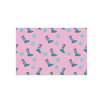 Cowgirl Tissue Paper Sheets - Small - Heavyweight