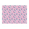 Cowgirl Tissue Paper Sheets - Large - Lightweight