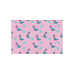 Cowgirl Tissue Paper Sheets - Small - Lightweight