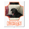 Generated Product Preview for I'd order again Review of Pet Photo Graphic Car Decal (Personalized)