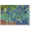 Generated Product Preview for MARIELA MATSUMURA Review of Irises (Van Gogh) Laptop Skin - Custom Sized