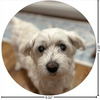 Generated Product Preview for Lynn Grant Review of Photo Round Decal