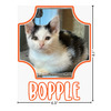 Generated Product Preview for Sam Review of Pet Photo Graphic Iron On Transfer (Personalized)