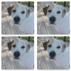 Generated Product Preview for Molly Review of Photo Absorbent Stone Coasters - Set of 4
