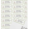 Generated Product Preview for Michelle R Review of Deer Return Address Labels (Personalized)