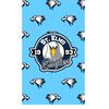 Generated Product Preview for CHRISTOPHER Review of School Mascot Curtain (Personalized)
