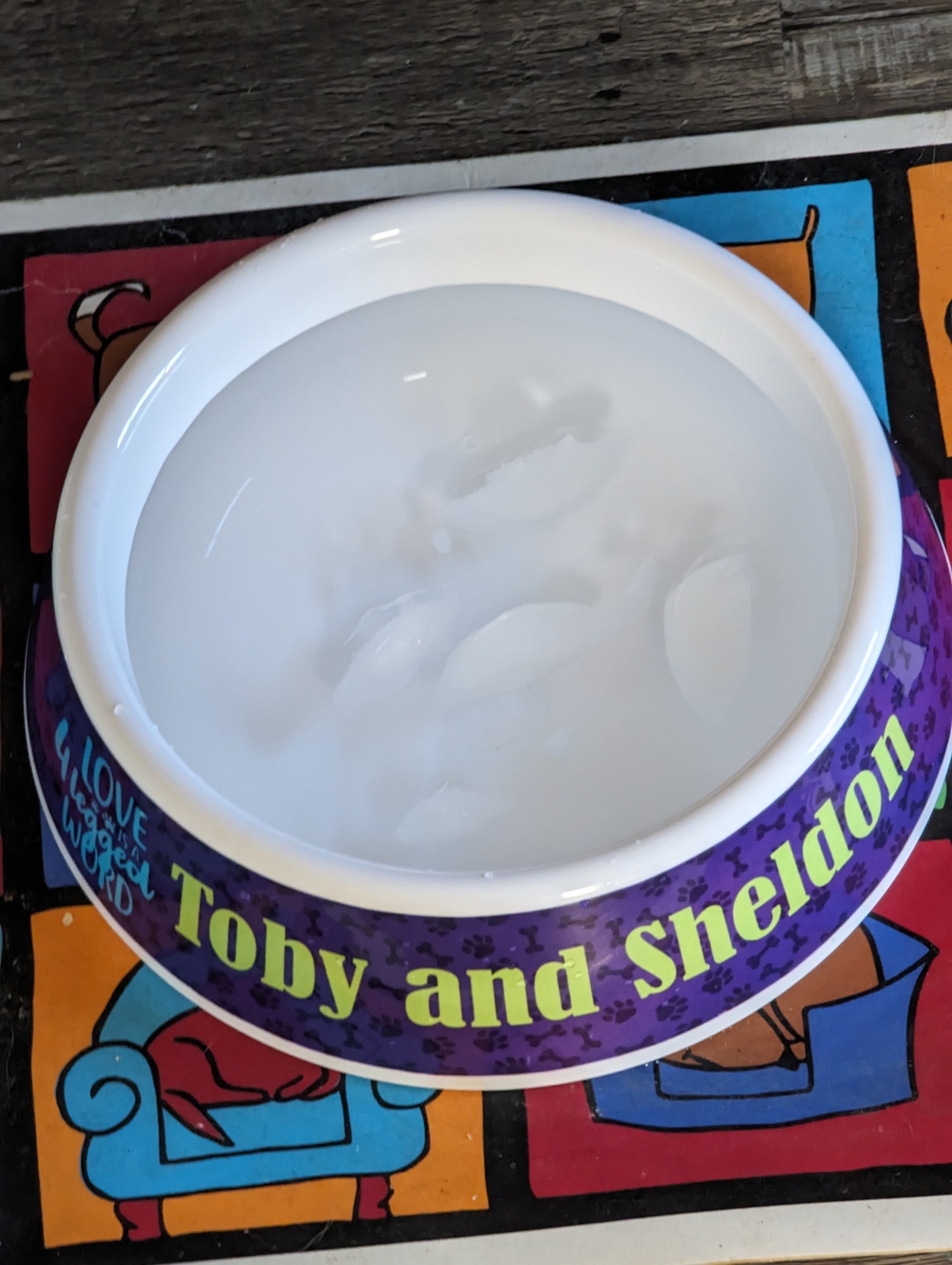 Custom Plastic Dog Bowls Design & Preview Online YouCustomizeIt