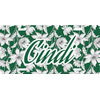 Generated Product Preview for Cindi Banks Review of Wild Daisies Front License Plate (Personalized)