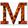 Generated Product Preview for Ryan Review of Fire Letter Decal - Custom Sizes (Personalized)
