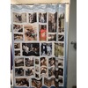 Image Uploaded for Elizabeth Chappel Review of Photo Shower Curtain