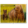 Generated Product Preview for Kristie Dickinson Review of Photo Laptop Skin - Custom Sized