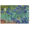 Generated Product Preview for Margery Pearl Review of Irises (Van Gogh) Laptop Skin - Custom Sized
